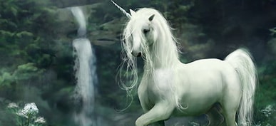 What Type Of Unicorn Are You?
